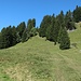 Hier zweigt der Weg zur "Falggelen" ab, einfach dem Zaun entlang.