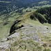 Blick von P.2043 auf die Platten, von oben wirken sie gar nicht so steil.