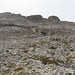 Wüste
