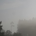 Ausklang