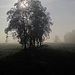 ...  liebe ich besonders