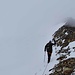 appena dopo il Sustenlimi, sul Steingletscher