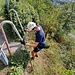 Unterm Kräutergarten eine kurze Leiter hinunter.