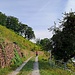 Unterhalb des Pavillons geht es hinein in die Weinhänge des Höhbergs.