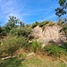 Hier kann man die ersten Schritte am Drahtseil machen und sich für schwierigere Klettersteige wie den im benachbarten Heubach oder den Starkenburger Klettersteig bei Hainstadt vorzubereiten. 