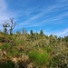 Danach besteht die Möglichkeit, nach oben aus dem Klettersteig auszusteigen (hübsche Landschaft dahinter).