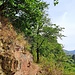 Der Churfrankensteig ist einfach auch ein wunderbarer Weg.