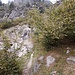 sulla destra della cascata l'inizio del percorso sotto i noccioli
