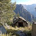 alpe farmign