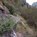 tra la vegetazione e le rocce