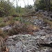 si arrampica tra erba e rocce
