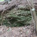 Affioramento di Gonfiolite.