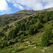 Sopra l'Haide Alm.