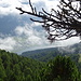 Lago della Muta / Haidersee.