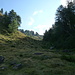 dall'alpe fontane proseguiamo dritti