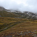 Holzjihorn eingenebelt