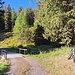 <b>Alle 8;25, inforco la bici e mi avvio verso gli edifici dell’Alpe Fracch, sulla sterrata bordeggiata da resinose.</b>