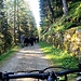 <b>Poco dopo mi imbatto in una mandria di bufale (Bufala mediterranea italica), guidata da due pastori. </b>