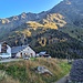 <b>Dalla mia ultima visita, la Strada de Pian Dòss che sale all’alpe omonima è nettamente migliorata. Il fondo in calcestruzzo mi permette di superare l’impegnativa salita senza problemi.
È importante gestire bene l’alpe.
Una buona gestione implica, in particolar modo, una cura dell’ambiente secondo criteri attenti alle leggi naturali del luogo (manutenzione habitat, concimazione, migliorie fondiarie). La pascolatone deve essere organizzata a settori e a rotazione. Questo sistema è stato adottato per la salvaguardia della cotica erbosa sia durante la pascolazione sia in occasione dello spostamento del bestiame da un settore all’altro. 
 </b>
