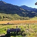 <b>In pochi minuti arrivo ad una delle più importanti torbiere dell’area sud alpina, un posto idilliaco, chiamato Pian Cales, che mi gusto dalla baita posta ai suoi margini. </b>