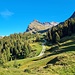 <b>Lungo il percorso il Piz Uccello, emblema del villaggio, mi accompagna fedelmente fino all’intersezione con la strada pastorale, dove svolto a sinistra, in discesa.</b>