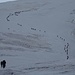 Ameisenstrasse über den Lysgletscher