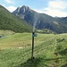 Aus der Serie 'Alpine Gefahren': Da ist sie! die Hauptgefahr, der rojosuiza auf dieser Wanderung trotzt! Dieser läppische Spritzer, der Sturm bläst ihn in Böen wagerecht, direkt auf den unschuldigen Wanderer zu! - Rechnen, denken, spurten! - Bleibt rojosuiza unbesudelt?