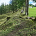 Blick zurück