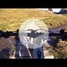 <b>San Bernardino - Tracciato GPS 3D.</b>