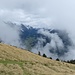 Fenster mit Antholz