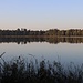Teich bei Lohsa (Symbolbild)