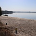 Dreiweiberner See, Strandbereich Weißkollm