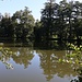 Weißkollm (Běły Chołmc), Schlossteich