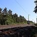 Bahnstrecke Falkenberg - Węgliniec, links Abzweig nach Spreewitz/Graustein, rechts Abzweig der früheren Strecke Knappenrode - Bautzen, heute nur noch Anschlussbahn zum Kaolinwerk Caminau 