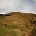 Hoch zur Malga Campo