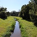 Lohsa, Kleine Spree
