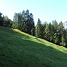 Juchei, Fernsehen