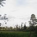 Moorlandschaft VII