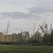 Moorlandschaft VI