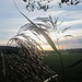 Am Rückweg