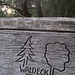 Am Waldeck? Jo^^