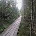 Schön angelegter Naturholzdammweg