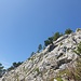 südliches Ambiente...