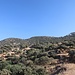 im Abstieg nach Pali, oben Emporios