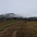...dann durch Wiesen geht es hinauf nach Mitterleiten.