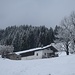 ...geht es hinauf zur Steinmoosalm.