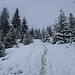 ...dann durch winterliche Landschaft...