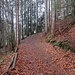 Anfangs im Wald,...