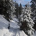Durch verschneite Landschaft geht es wieder bergab.