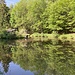 netter Teich nördlich von Graß